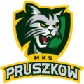 MKS logo png